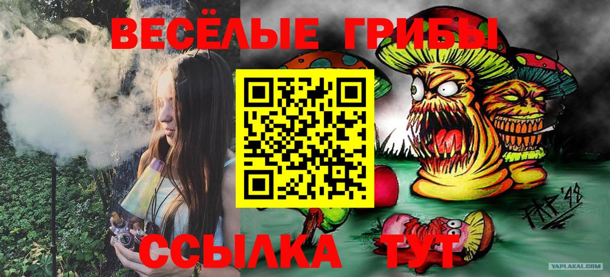 Юрга  Псилоцибиновые грибы ЛСД  цена наркотик  Вход с VPN  Псилоцибиновые грибы GOLDEN TEACHER 