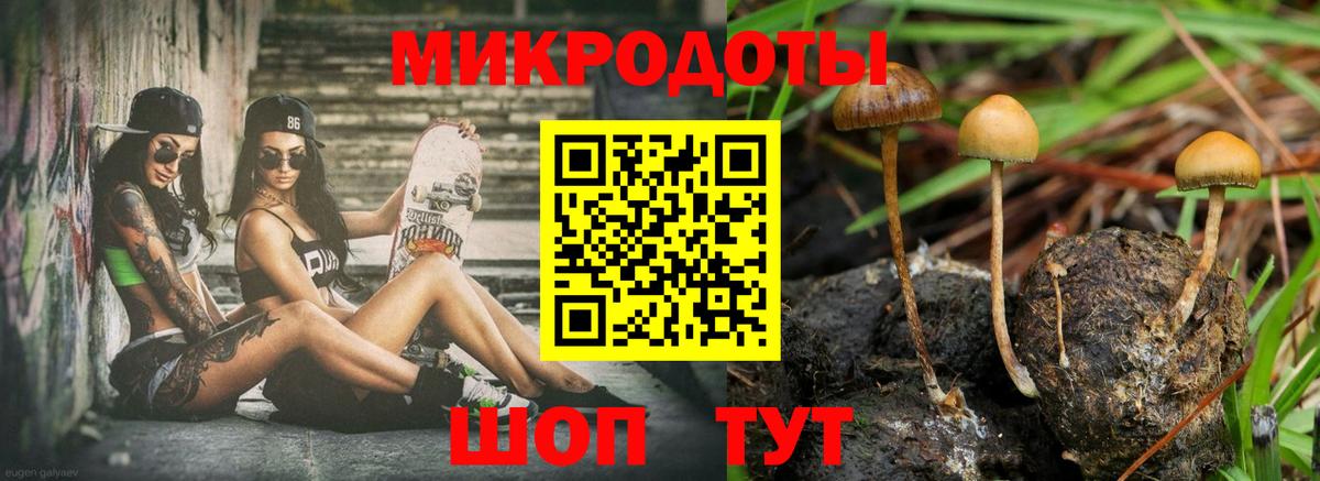 Псилоцибиновые грибы ЛСД Юрга